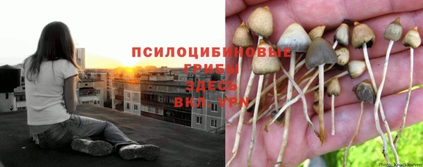 метадон Алексин
