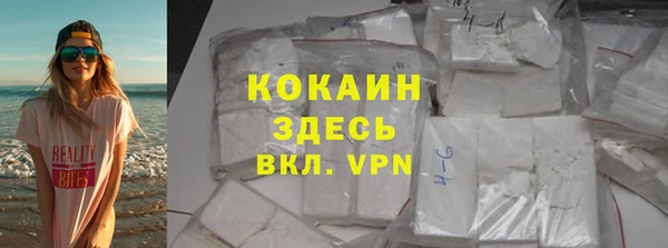 apvp Алзамай