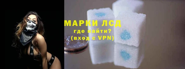 apvp Алзамай