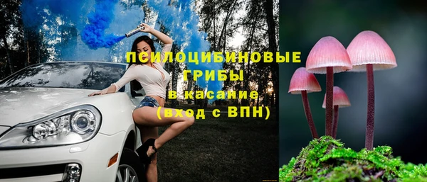 метадон Алексин
