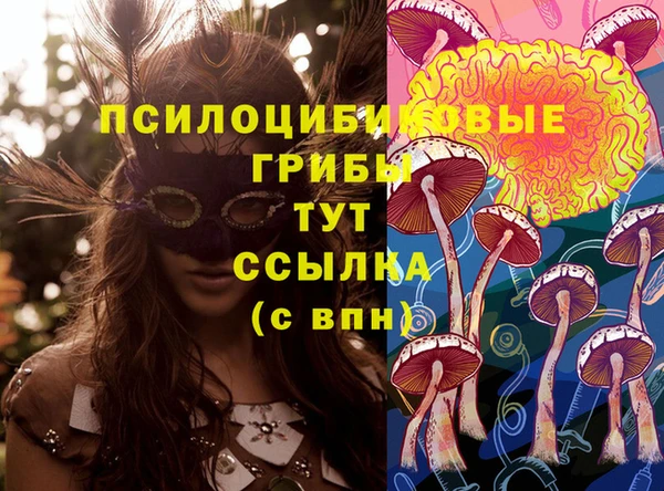 apvp Алзамай