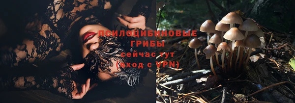 соль курить ск Алексеевка